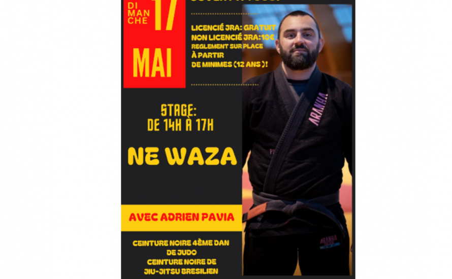 STAGE NEWAZA Dimanche 17 mai